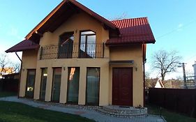 Pensiunea Vila Mocanilor